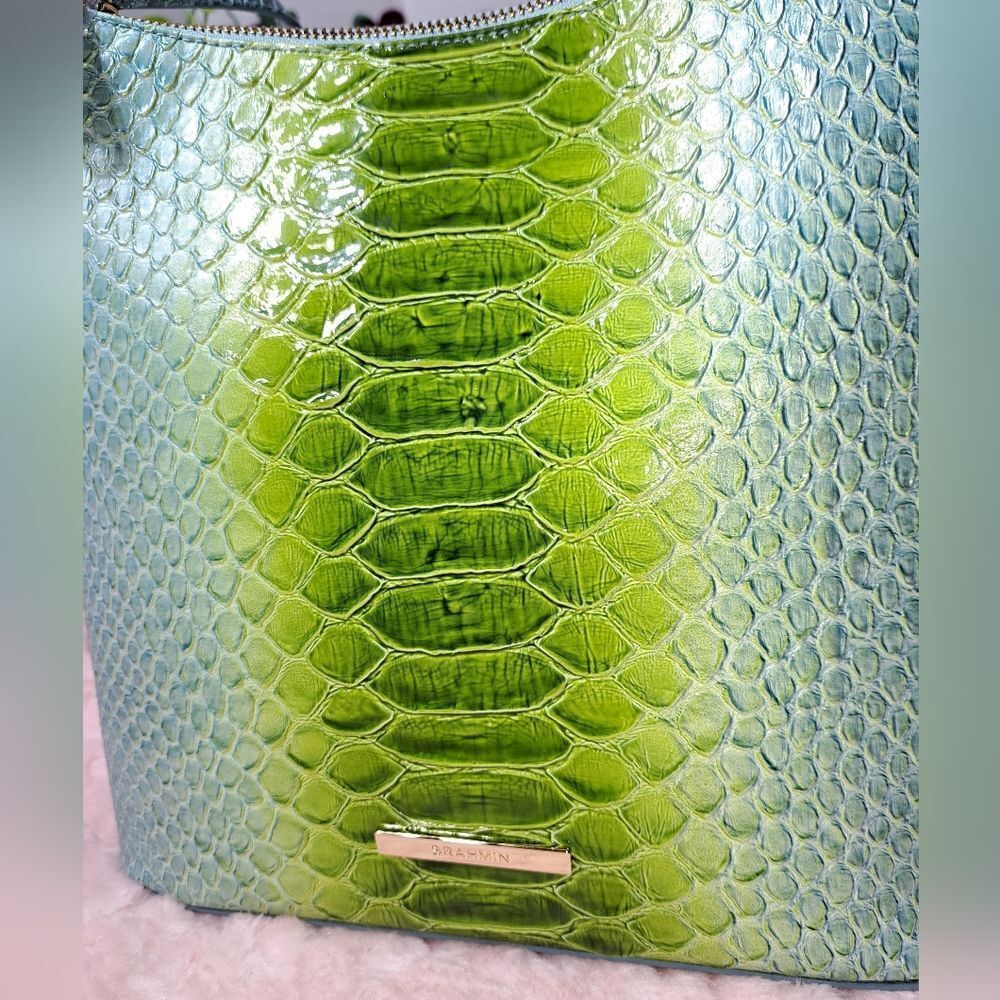 NWT Brahmin Katie Limeade Rivers Leather Bag - Picture 14 of 16